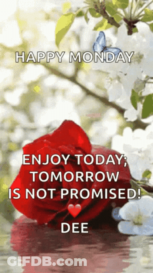Hello Monday Message GIF