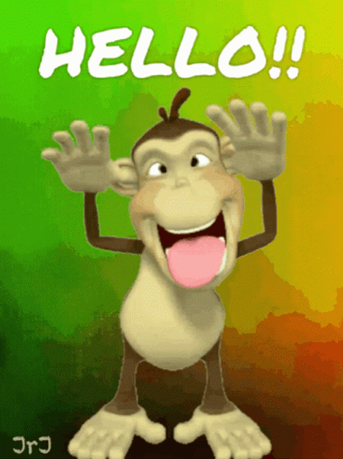 Hello Monkey Funny Faces GIF