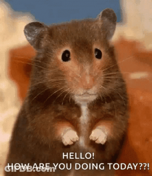 Hello Mouse How Are You GIF