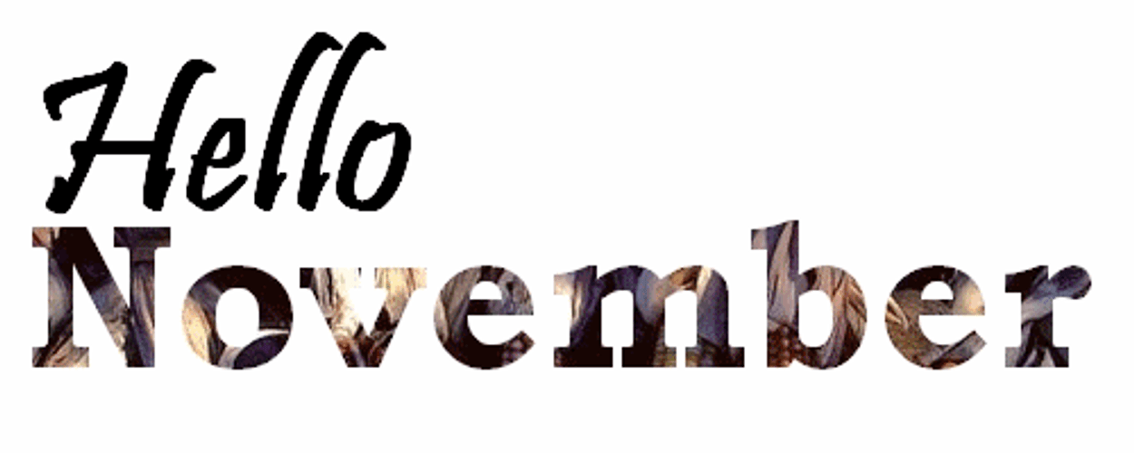 Hello November Animated Text Greeting GIF