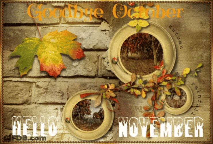 Hello November Goodbye October Autumn Rainfall Art GIF
