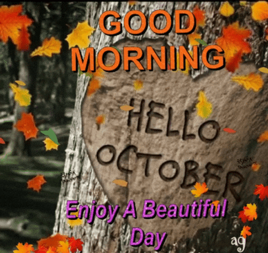 Hello October Autumn Falling Leaves GIF