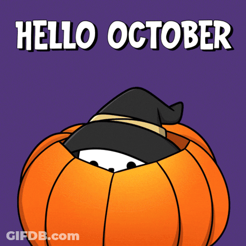 Hello October Peeking White Kitty GIF