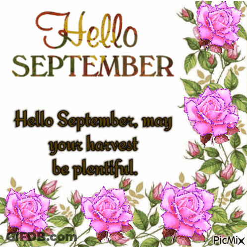 Hello September Card With Pink Roses GIF