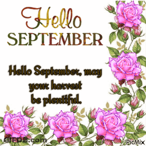 Hello September With Flowers GIF