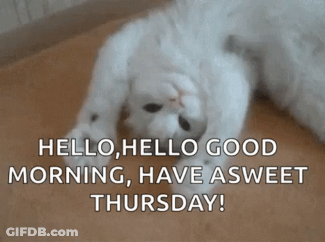 Hello Sweet Thursday Cute Cat GIF