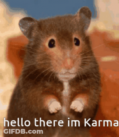 Hello There I'm Karma Hamster GIF
