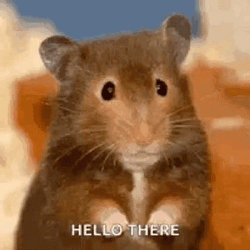 Hello There Mouse Waving GIF