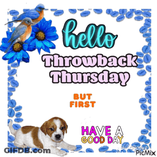 Hello Throwback Thursday Have A Good Day GIF