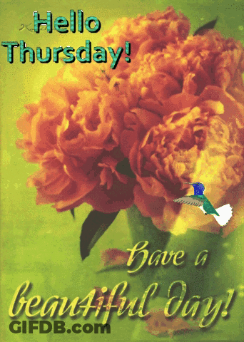 Hello Thursday Card With Flowers And Bird GIF