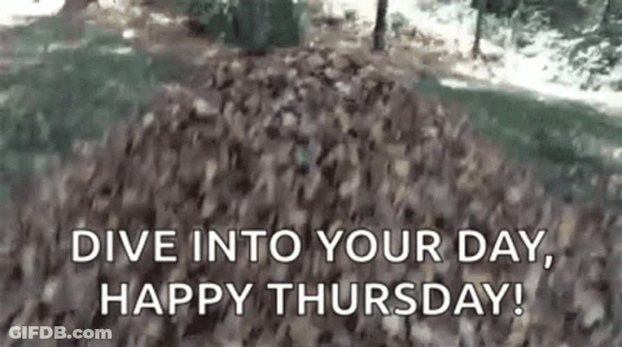 Hello Thursday Dive Into Your Day GIF