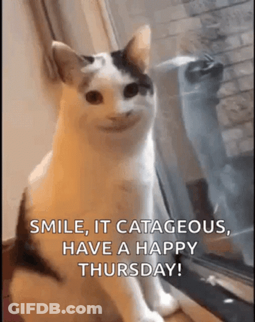 Hello Thursday Smiling Cat GIF