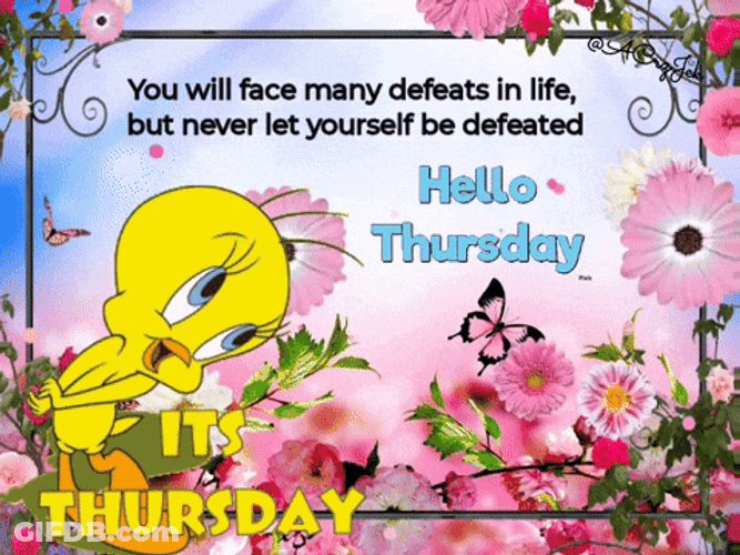 Hello Thursday Tweety Bird GIF