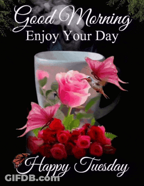 Hello Tuesday Beautiful Tiny Bird GIF