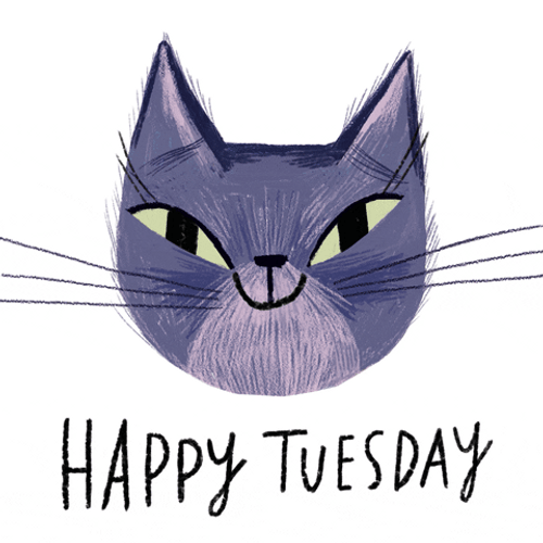 Hello Tuesday Cute Blinking Cat Animation GIF