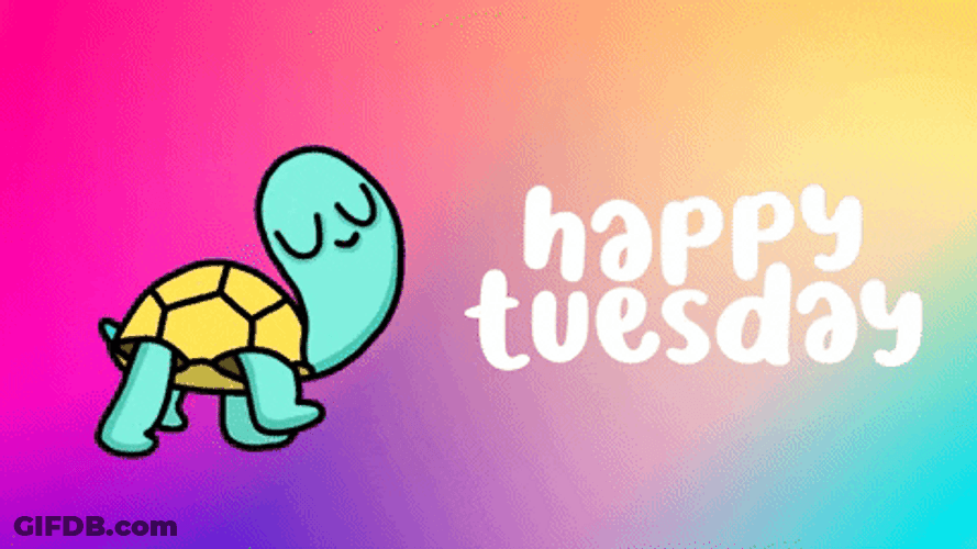 Hello Tuesday Cute Turtle Strolling GIF