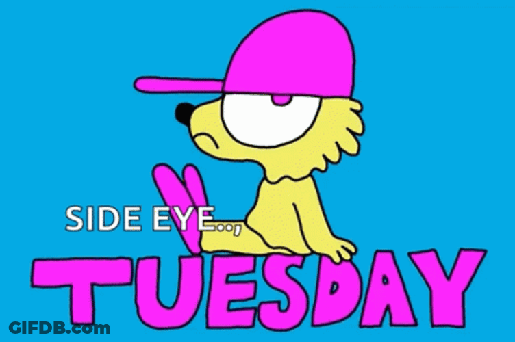 Hello Tuesday Puppy Side Eye GIF