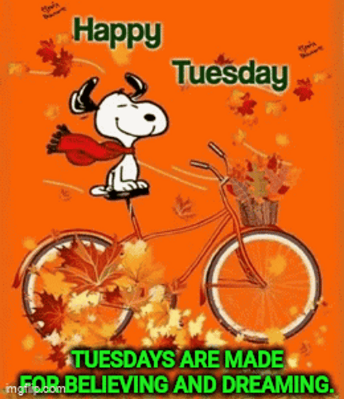 Hello Tuesday Snoopy Ride Bike GIF