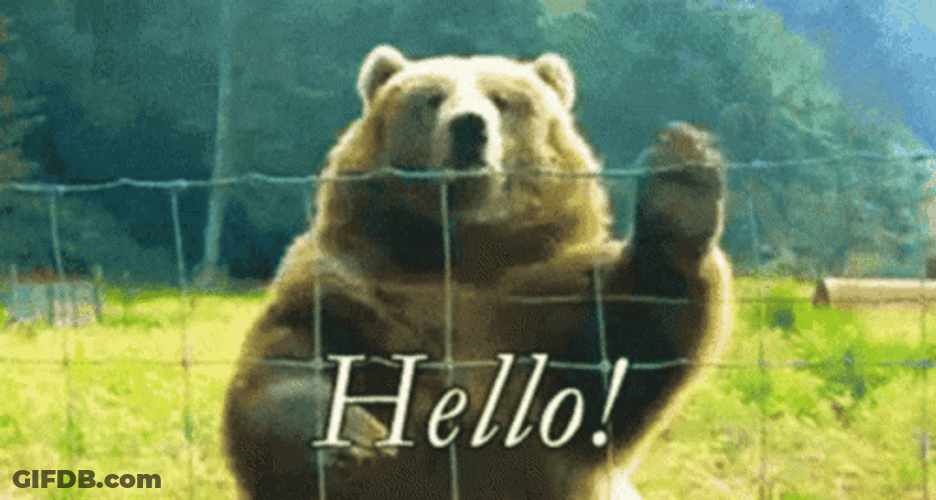 Hello Wave From Friendly Giant Bear GIF