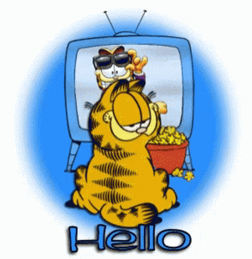 Hello Wednesday 498 GIF