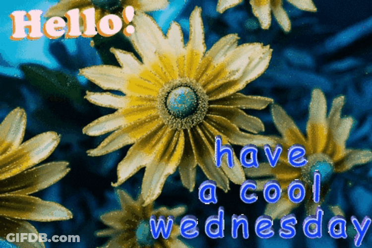 Hello Wednesday Cool Day GIF