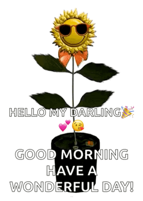 Hello Wednesday Dancing Sunflower GIF