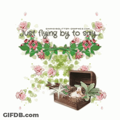Hello Wednesday Flying Butterfly GIF