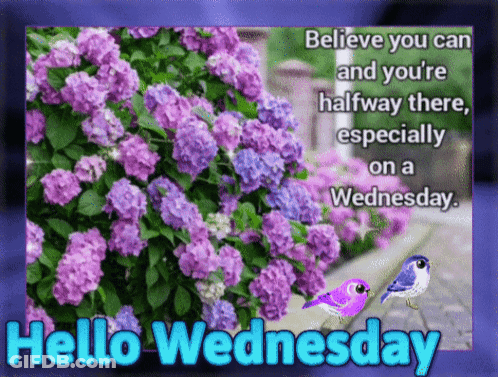 Hello Wednesday Greeting Card With Purple Flowers And Two Birds GIF