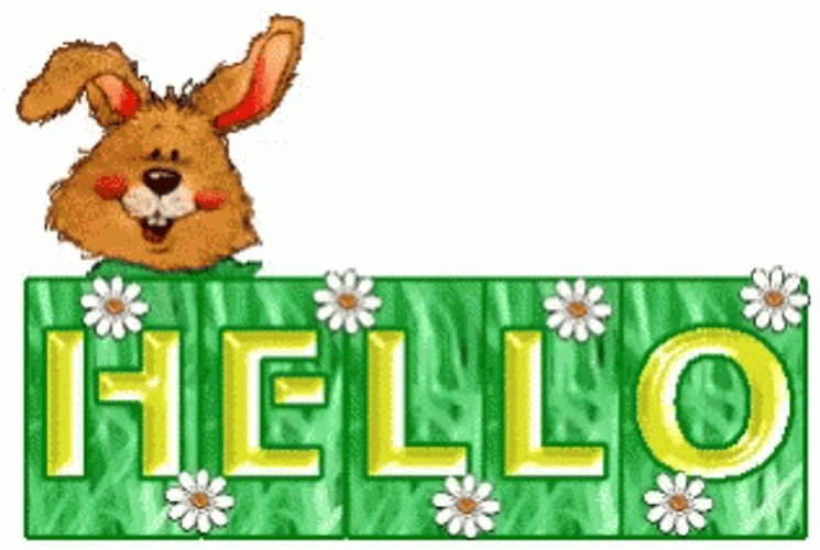 Hello Wednesday Peeking Brown Bunny GIF