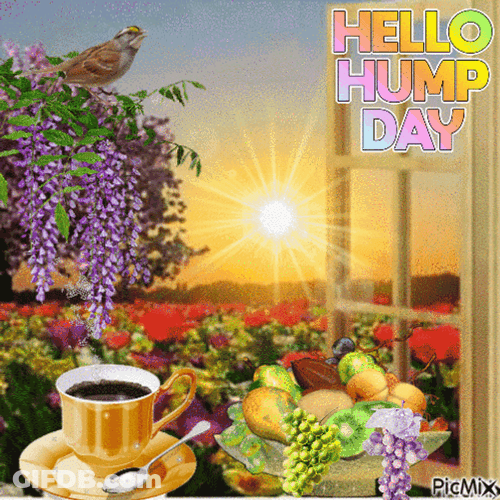 Hello Wednesday Rising Sun GIF