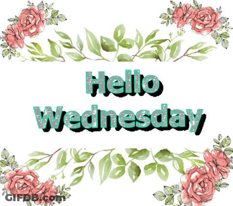 Hello Wednesday Sign Surrounded By Flowers And Leaves GIF