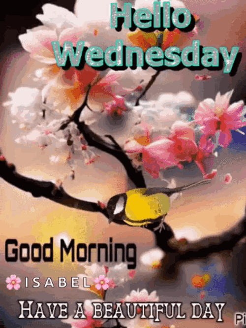 Hello Wednesday Yellow Bird GIF