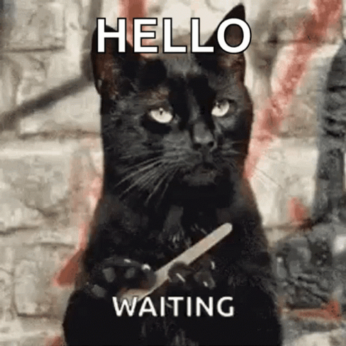Hello Well Were Waiting Nail Filing Cat GIF