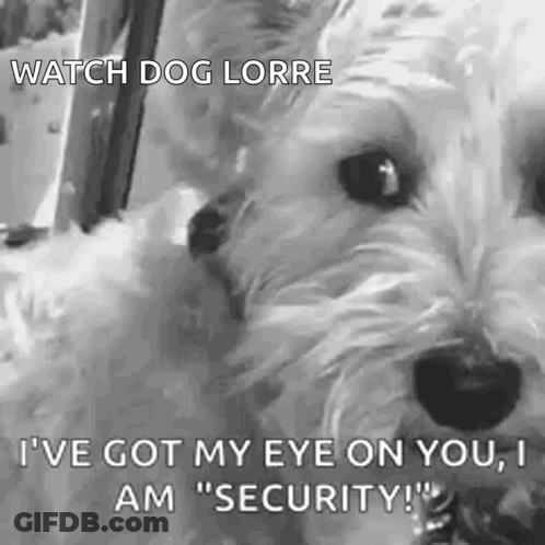 Hello Why Thank You GIF