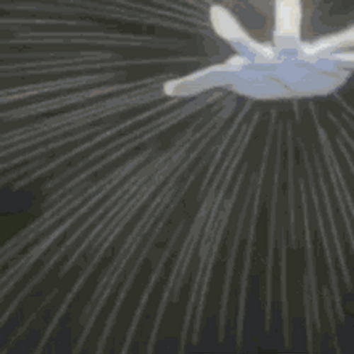 Hellsing Anime Integra Fairbrook Angry Hand GIF