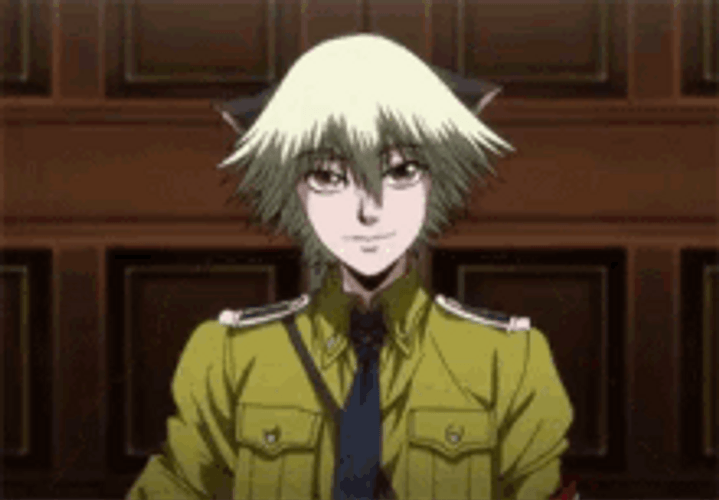 Hellsing Ultimate Anime Schrodinger Smile GIF