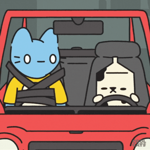 Helmet In Car Ride Crazy Driving GIF