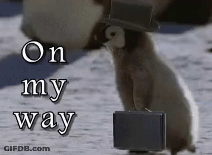 Help Is On The Way Dear Cute Penguin GIF