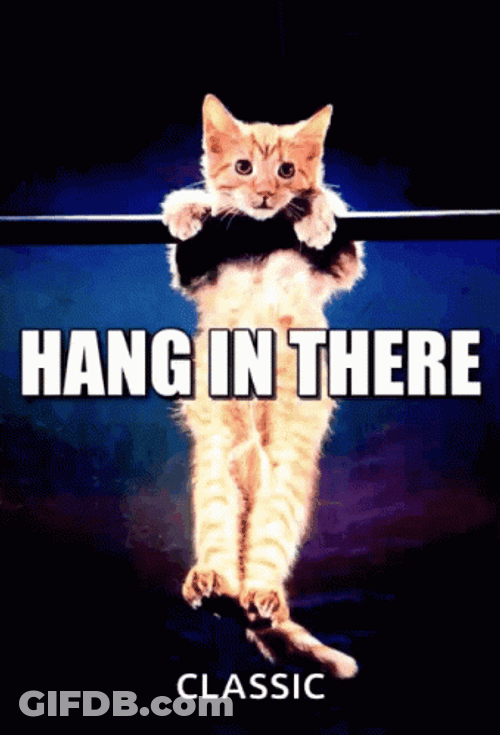 Help Is On The Way Dear Hanging Cat GIF