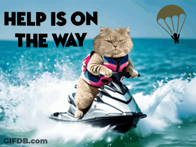 Help Is On The Way Dear Jetski Cat GIF