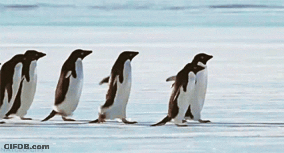 Help Is On The Way Dear Raft Coming GIF