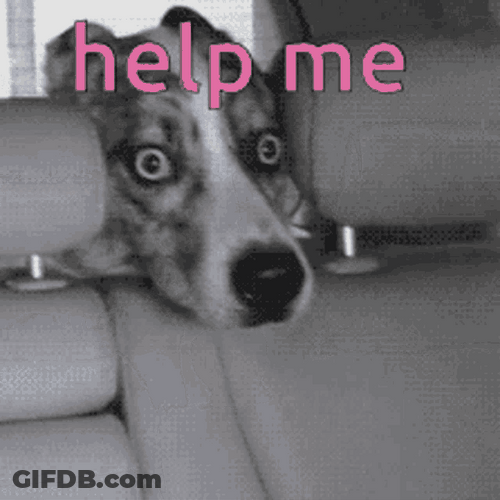Help Me Dog Stuck GIF