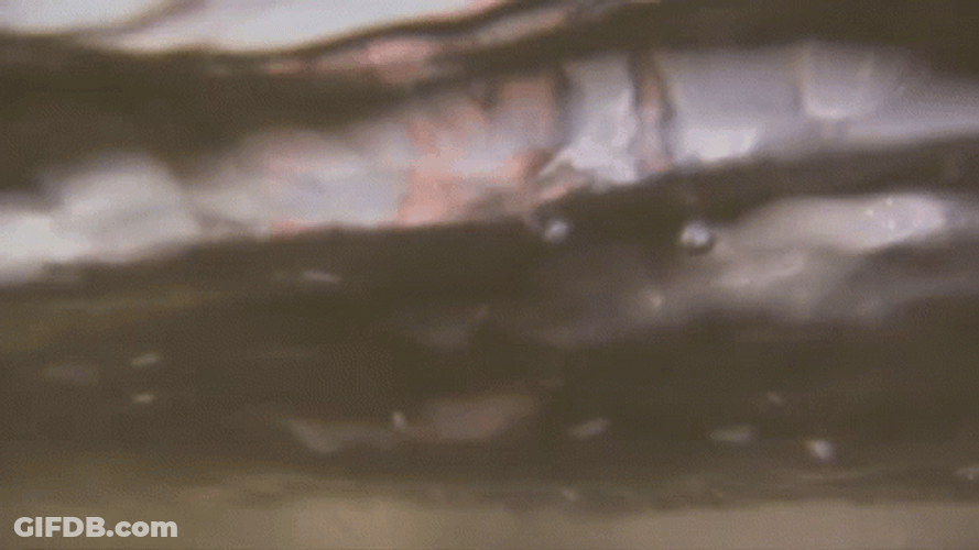 Help Me I Can't Swim GIF