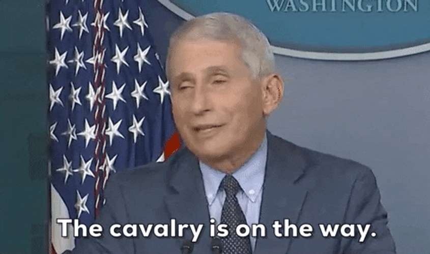 Help The Cavalry Is On The Way GIF