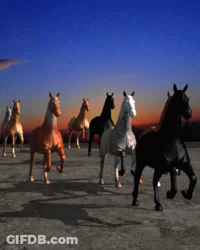 Herd Of Horses Running At Sunset GIF