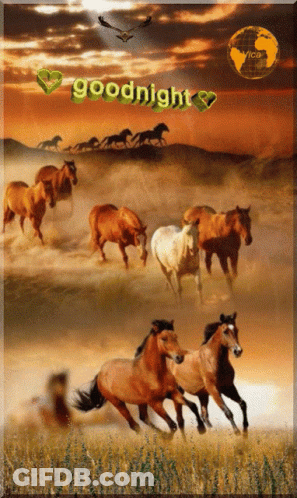 Herd Of Horses Saying Goodnight GIF