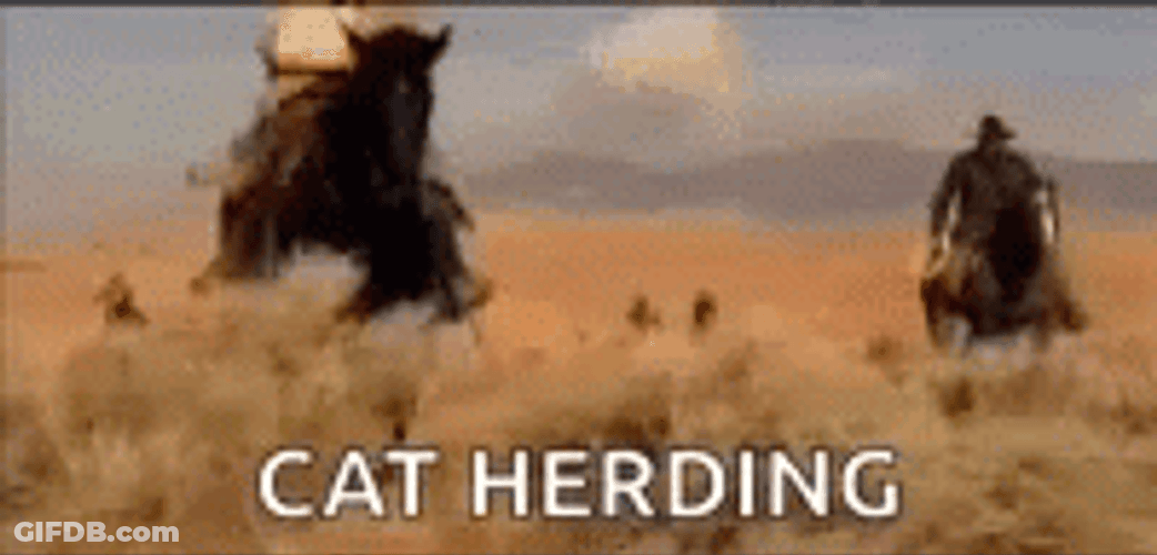 Herdsmen Herding Cats In The Field GIF