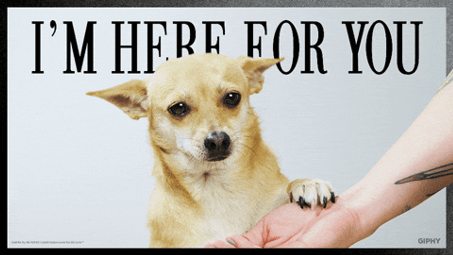 Here For You Puppy Dog Eyes GIF