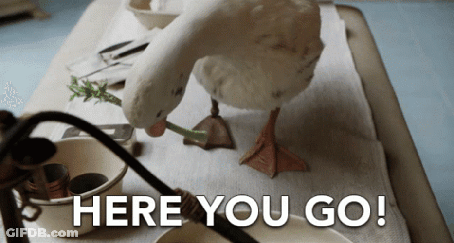 Here You Go Adorable Duck Giving Gift GIF