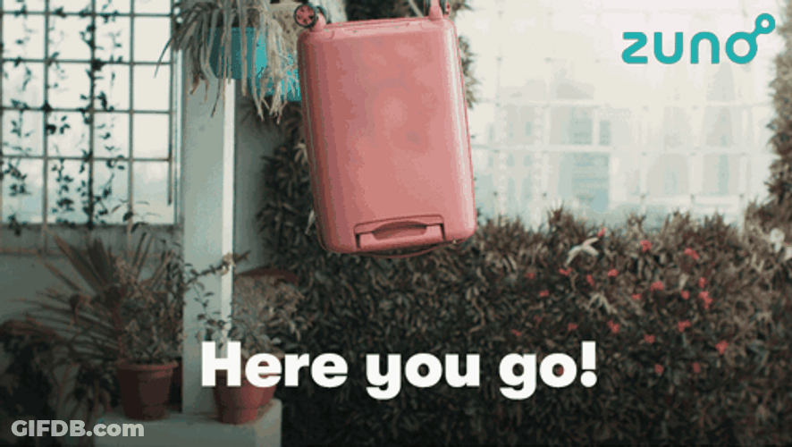 Here You Go Throwing Suitcase Out GIF